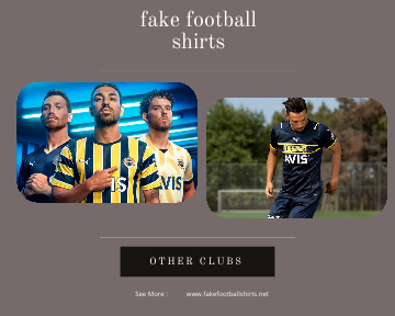 fake Fenerbahce football shirts 23-24